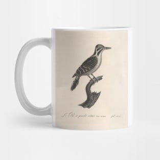 Natural history of vintage birds of North America 1 Mug